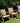Unfinished Teak / 2" Sand Straps