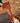 Sealed Teak / Rust V Braided Cord