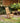Sealed Teak