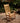 Sealed Teak